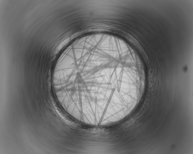 X0000116020842200912111350