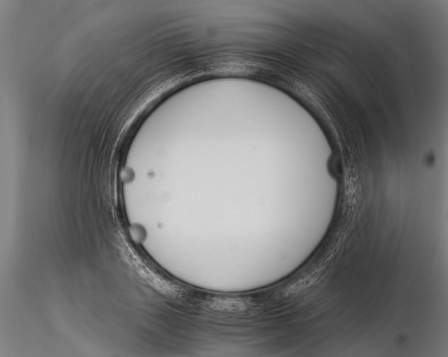 X0000116020843200912111350