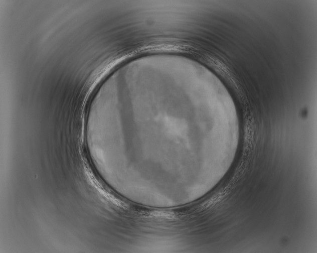 X0000116020844200912111350