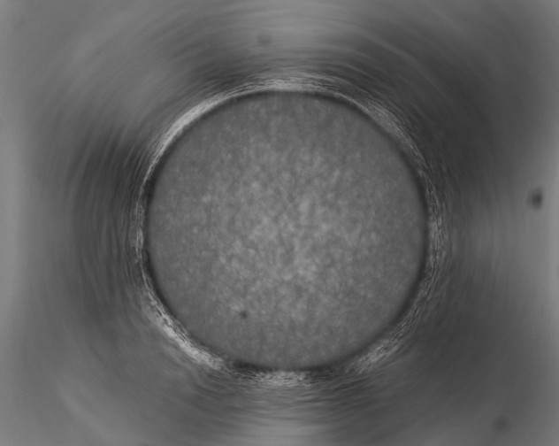 X0000116020846200912111350