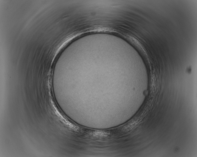 X0000116020847200912111350