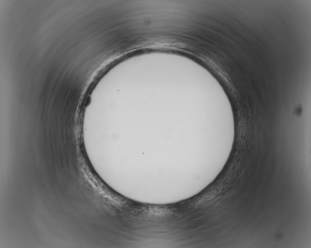 X0000116020848200912111350