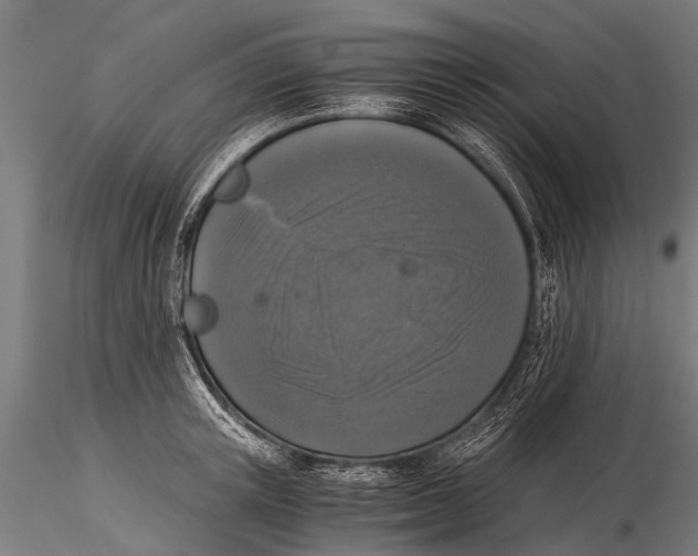 X0000116020851200912111350