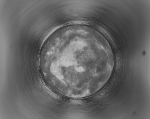 X0000116020852200912111350