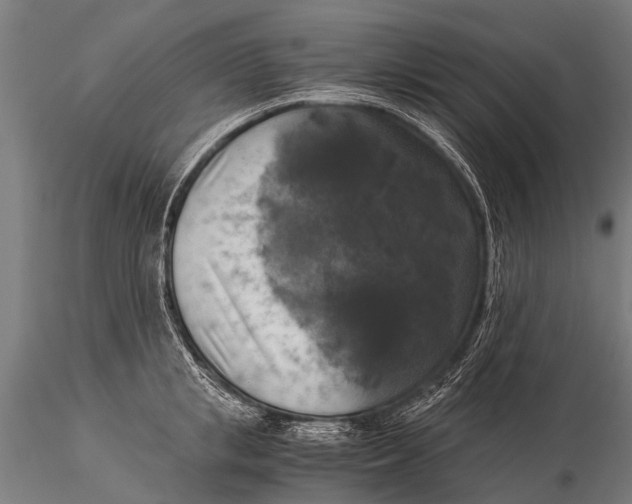 X0000116020853200912111350