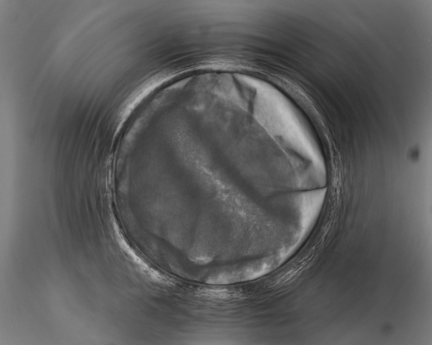 X0000116020855200912111350