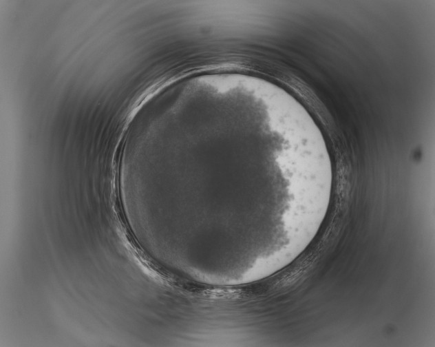 X0000116020858200912111350