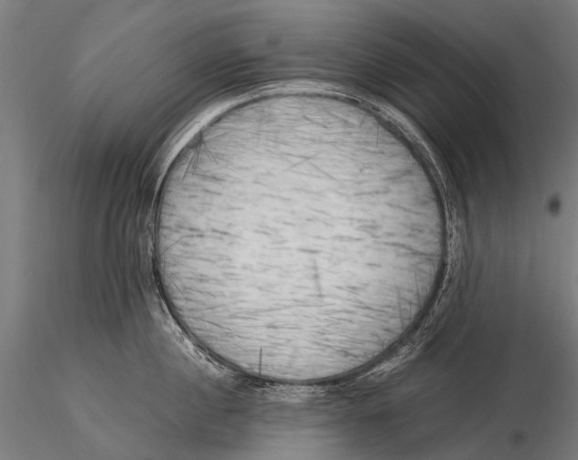 X0000116020860200912111350