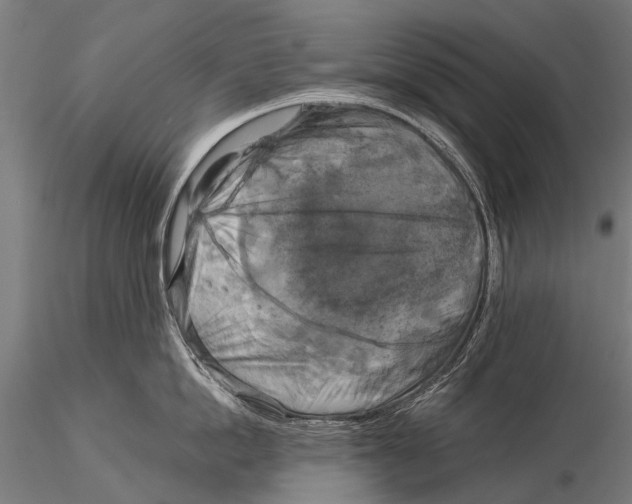 X0000116020862200912111350