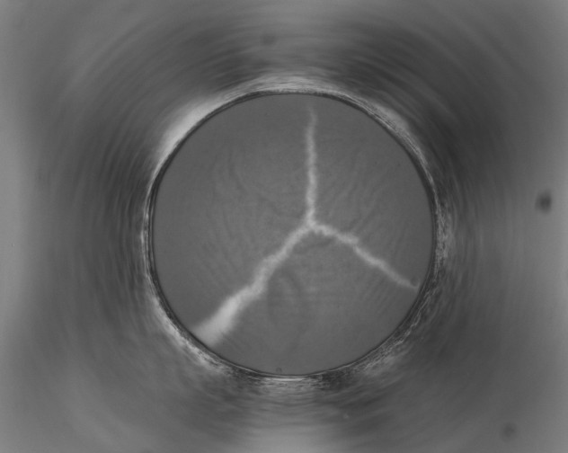 X0000116020863200912111350