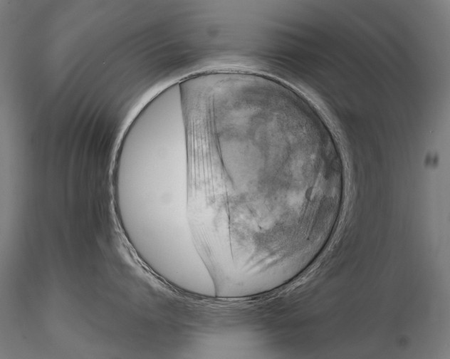 X0000116020864200912111350