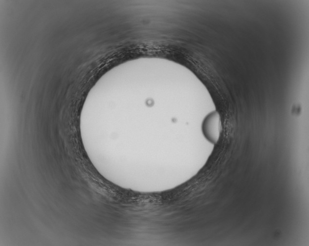 X0000116020865200912111350