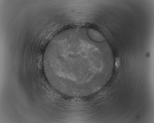 X0000116020867200912111350