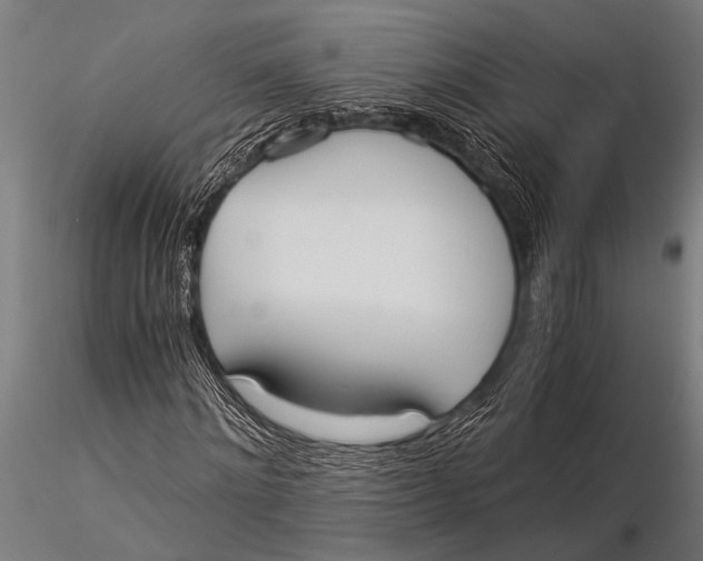 X0000116020868200912111350