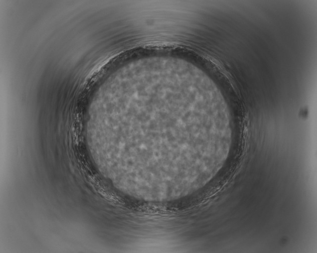 X0000116020871200912111350