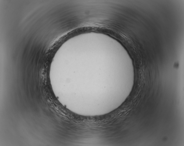 X0000116020872200912111350