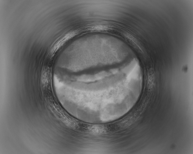 X0000116020874200912111349