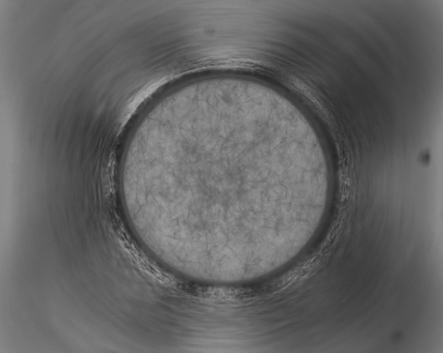 X0000116020875200912111349