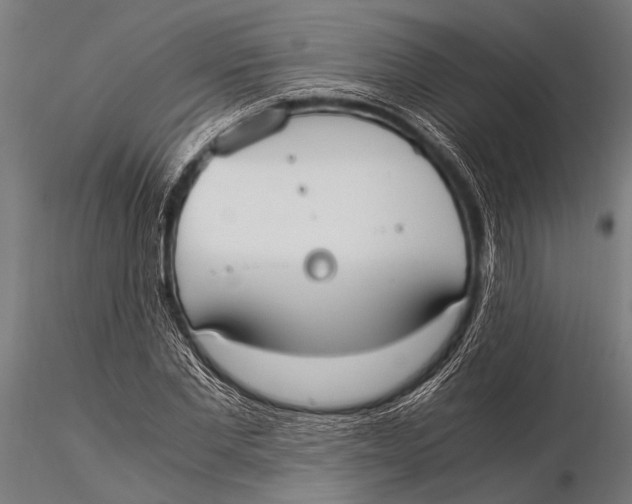 X0000116020877200912111349