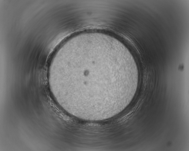 X0000116020878200912111349