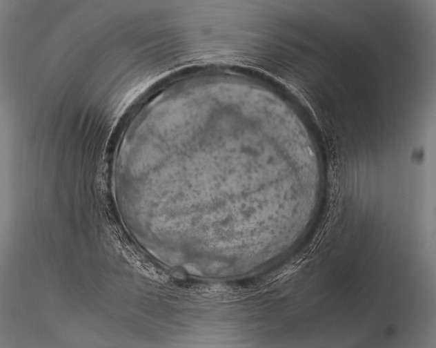 X0000116020879200912111349