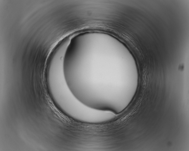 X0000116020880200912111349