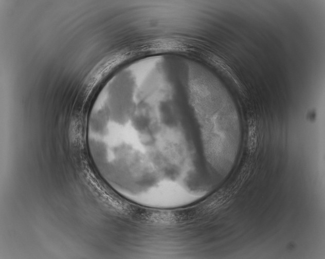 X0000116020882200912111349