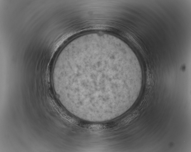 X0000116020883200912111349