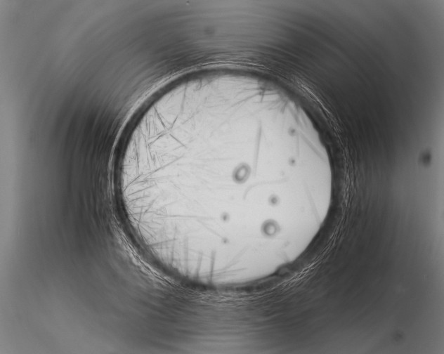 X0000116020884200912111349