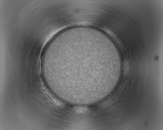 X0000116020886200912111349