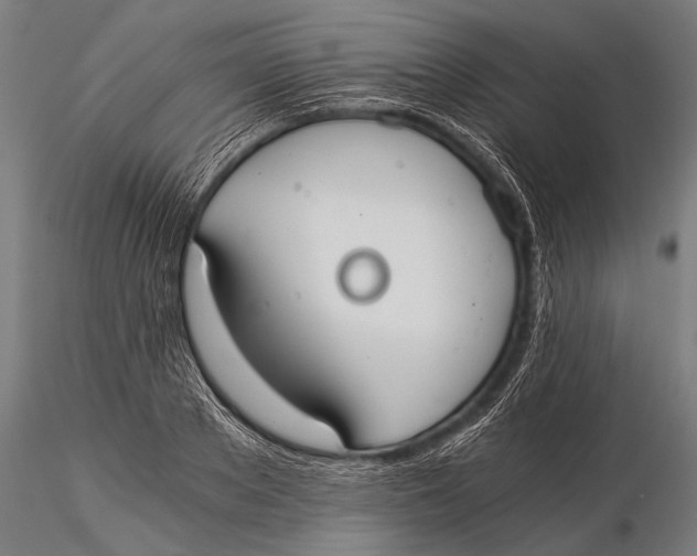 X0000116020889200912111349