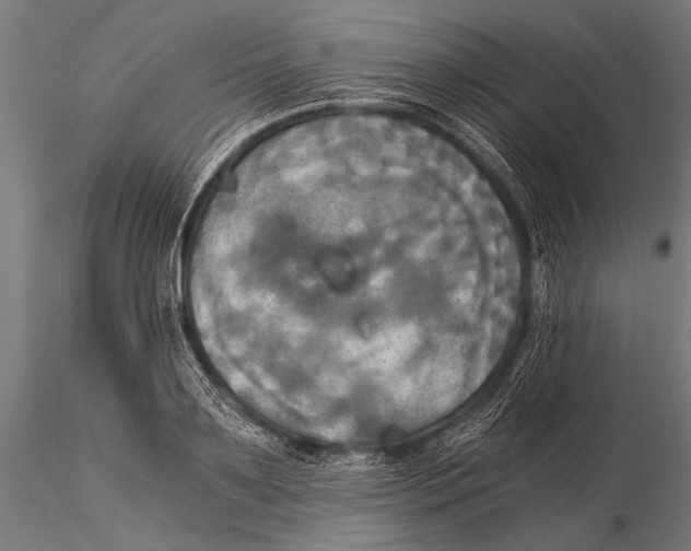 X0000116020891200912111349