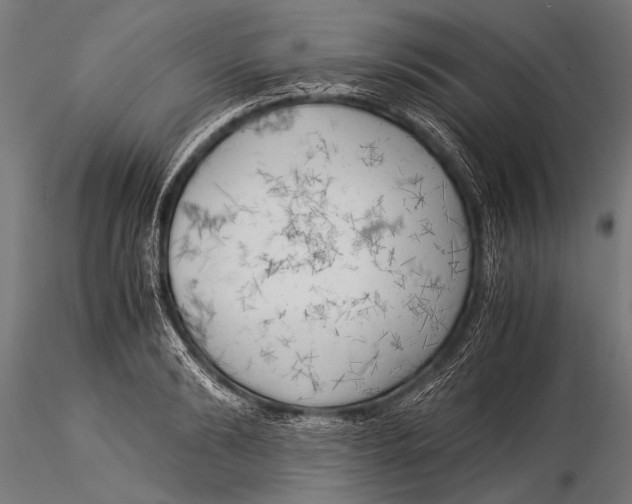 X0000116020894200912111349