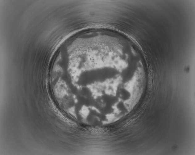 X0000116020895200912111349