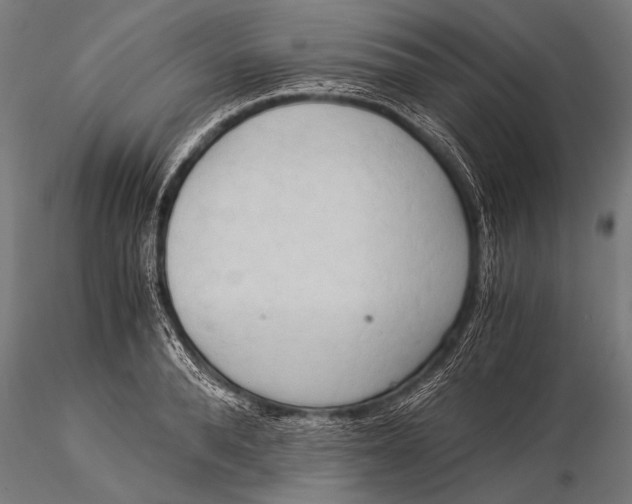 X0000116020896200912111349