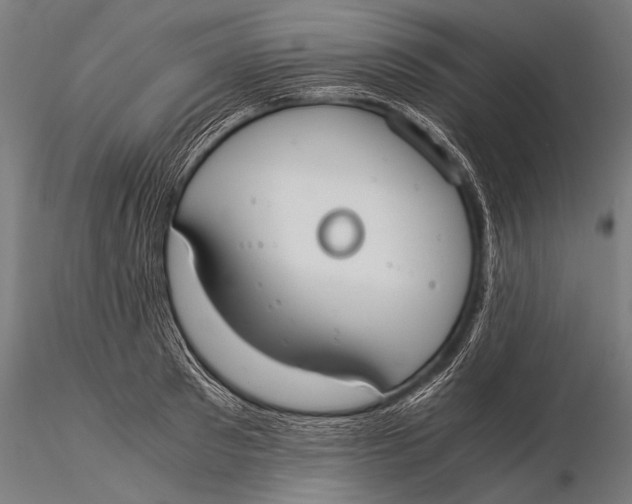 X0000116020897200912111349