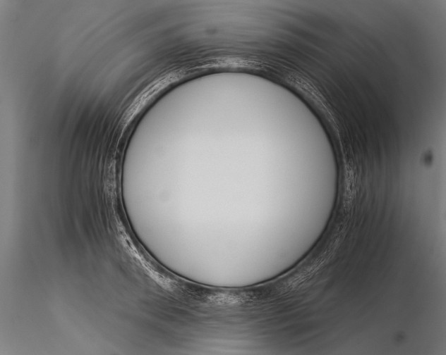 X0000116020898200912111349