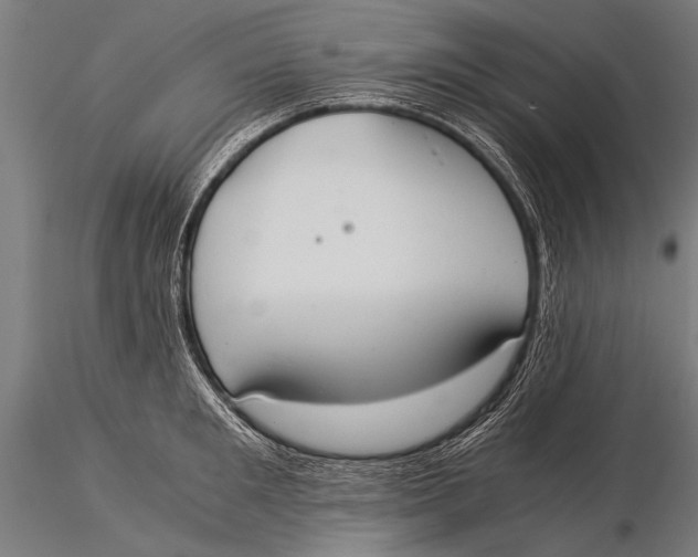 X0000116020901200912111349