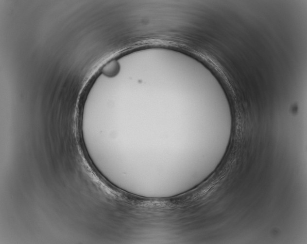 X0000116020902200912111349