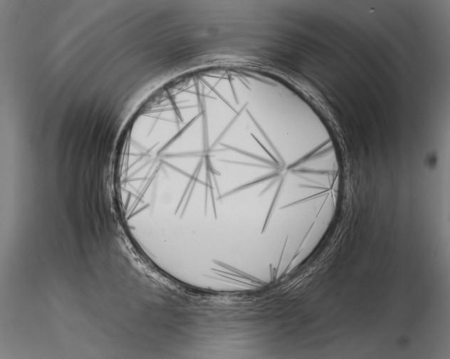 X0000116020904200912111349