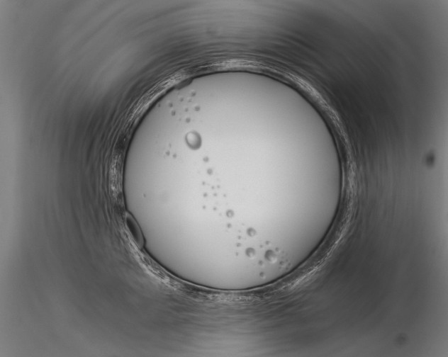 X0000116020905200912111349