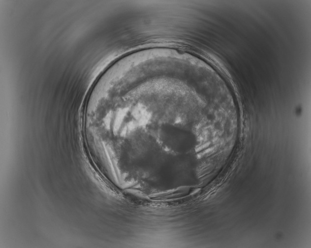 X0000116020907200912111349