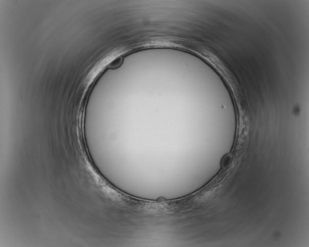 X0000116020909200912111349