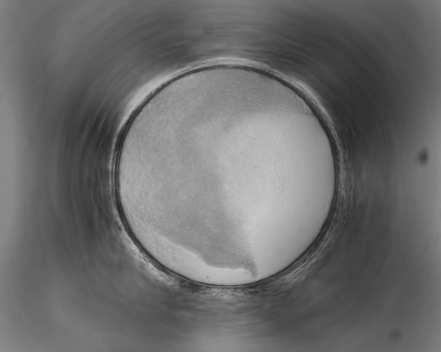 X0000116020910200912111349