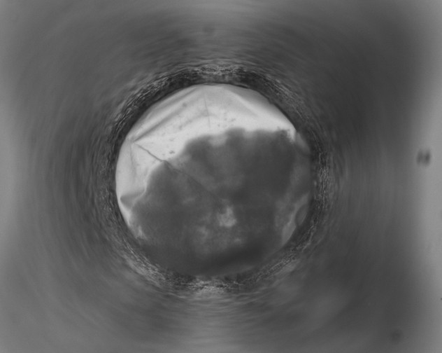 X0000116020913200912111348