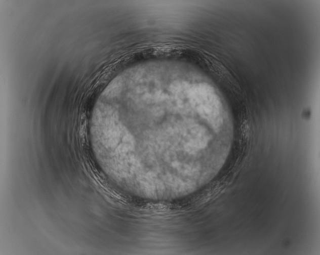 X0000116020914200912111348