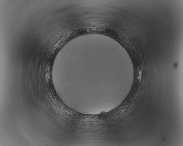 X0000116020915200912111348