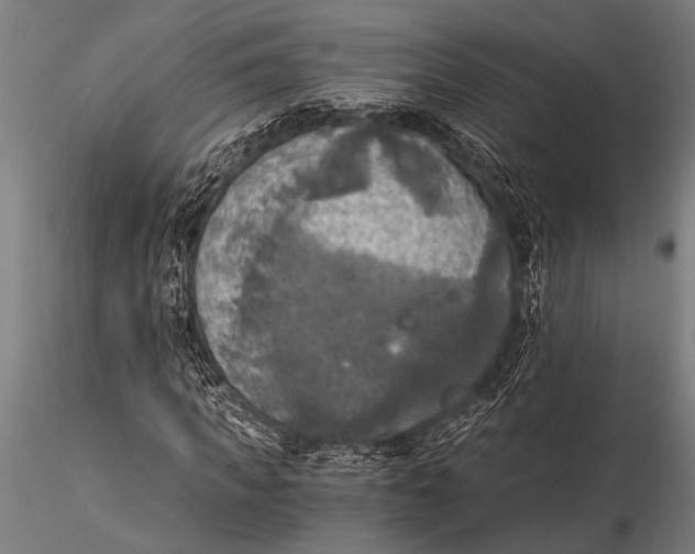 X0000116020917200912111348