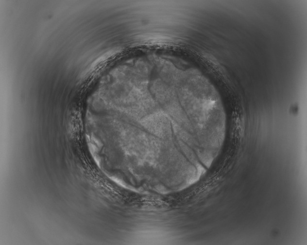 X0000116020918200912111348