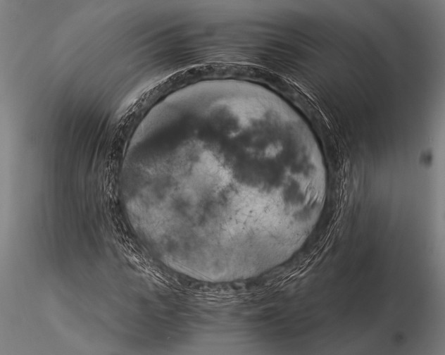 X0000116020919200912111348